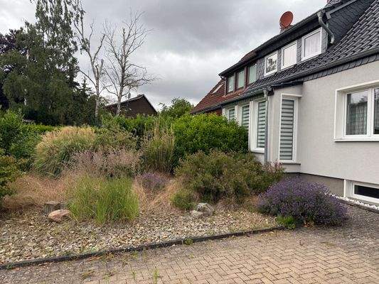 Steingarten vor dem Haus.jpg