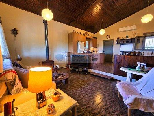 img_4b099c95-d201-42e5-afdf-92133e922429