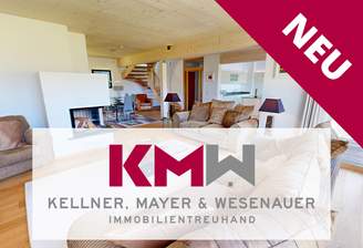 Exp. 1401 Startseite - NEU