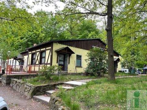 Neukirch/Lausitz Gastronomie, Pacht, Gaststätten