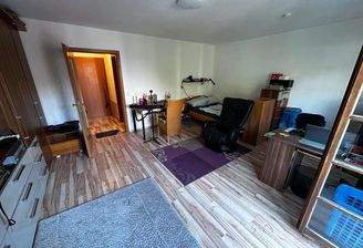 Wohnzimmer/Schlafzimmer