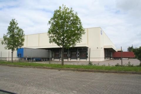 Hannover Halle, Hannover Hallenfläche