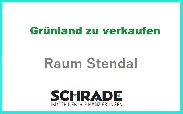 Grünland bei Havelberg 