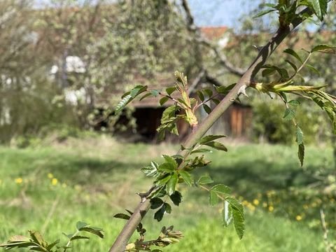 Nürtingen Grundstücke, Nürtingen Grundstück kaufen