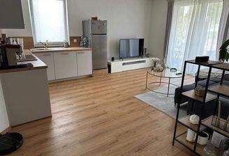 Wohn- und Esszimmer mit Küche