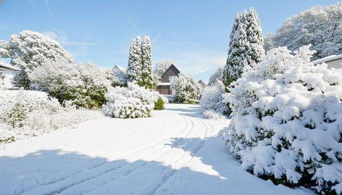 Platz für 2 Einzelhäuser (2)