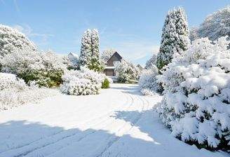 Platz für 2 Einzelhäuser (2)