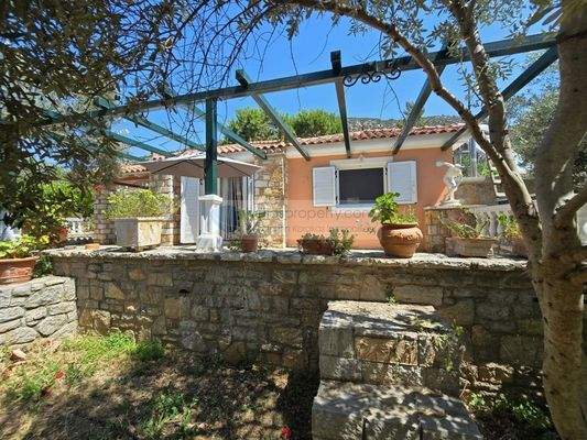 img_33875b9c-ccaf-49c5-bbc3-bd2413fc68ec