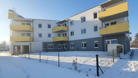 Wiener Neustadt Wohnungen, Wiener Neustadt Wohnung mieten
