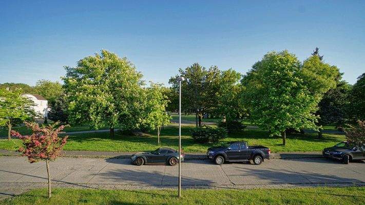 Ausblick zur Straße