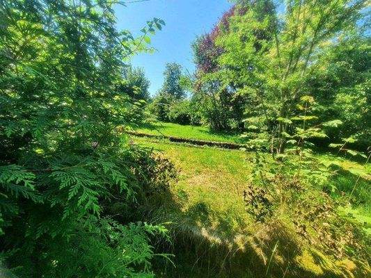 Etwas verwunschen und kuschelig .jpg