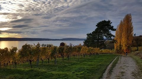 Überlingen Wohnungen, Überlingen Wohnung mieten