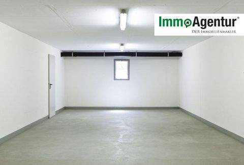 Götzis Halle, Götzis Hallenfläche