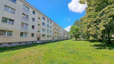 Magdeburg Wohnungen, Magdeburg Wohnung mieten