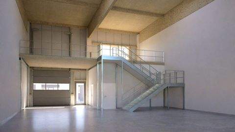 Antau Halle, Antau Hallenfläche