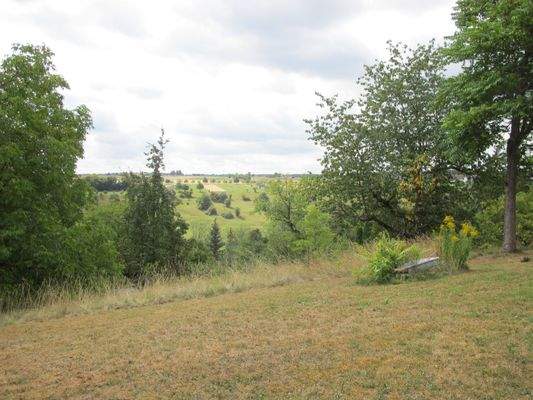 Blick in die Weite .....JPG