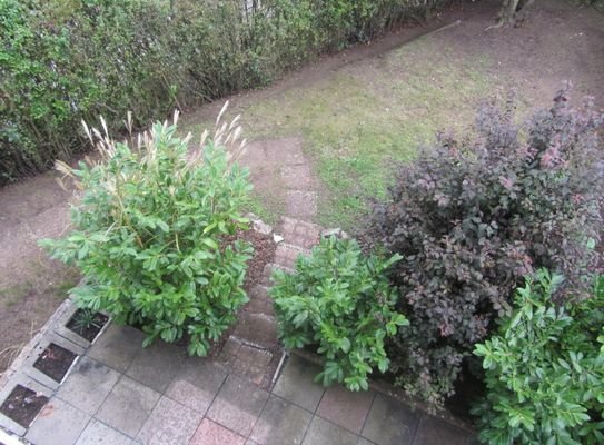 3-Terrasse+Garten.JPG