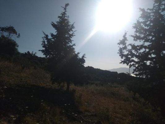 Kreta, Plakalona: Grundstück in einem ruhigen Dorf mit Meerblick zu verkaufen