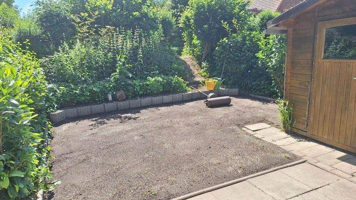 Garten Rasen neu