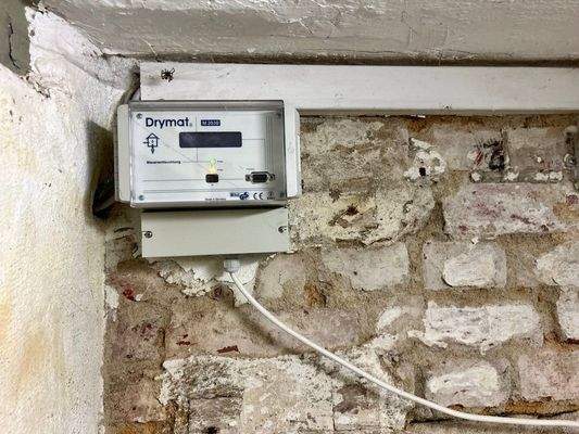 Drymat im Keller