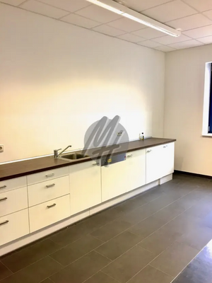 INFOS UNTER: 06171-586000