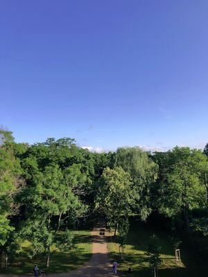 Ausblick von Balkon in den Park