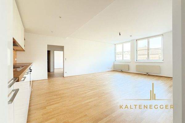 Blick vom Eingangsbereich in die Wohnküche