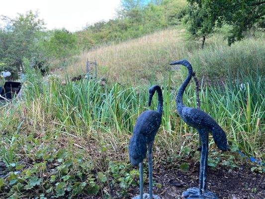 Gartenimpressionen 1