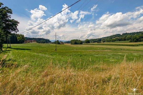 Wiese Moosburg zum Verkauf