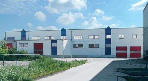 Dessau-Roßlau Halle, Dessau-Roßlau Hallenfläche