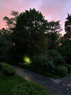 Sommernächtlicher Garten