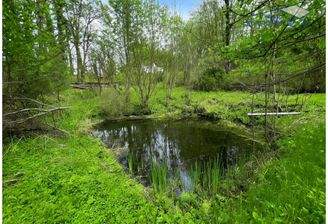 Eigene Quelle und Teich - früher Fischzucht