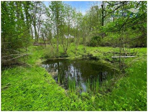 Ebershausen / Waltenberg Grundstücke, Ebershausen / Waltenberg Grundstück kaufen