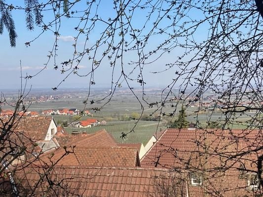 Weitblick