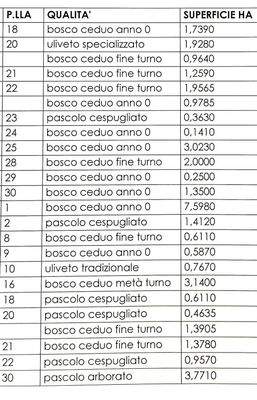Flurstu¨cken-mit-Gro¨ßenangabe1