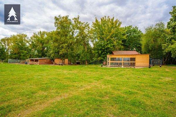 Grundstück mit Sicht auf die Ställe