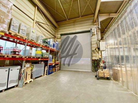 INFOS UNTER: 06171-586000