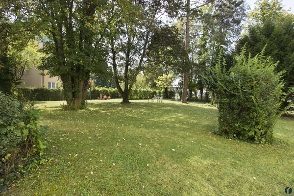 großer Gemeinschaftsgarten
