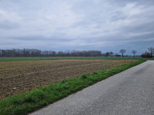 Ausblick3