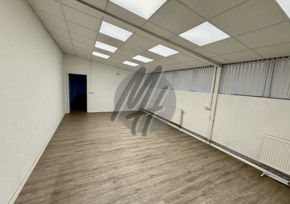 INFOS UNTER: 06171-586000