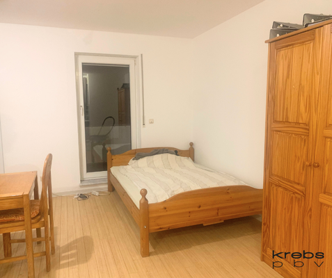 Wohn-/Ess-/Schlafbereich