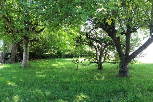 Garten mit Zuwendungsbedarf