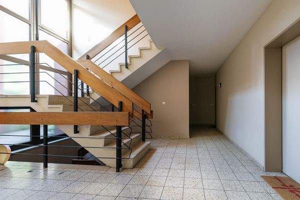 SINKO Buchenknick-12.jpg