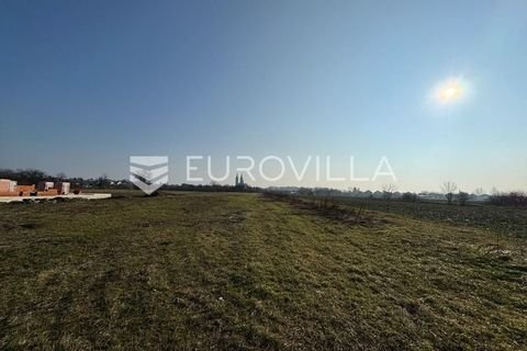 Djakovo Bauernhöfe, Landwirtschaft, Djakovo Forstwirtschaft