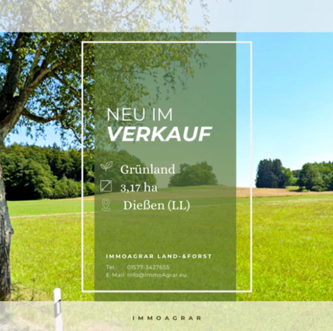 Dießen am Ammersee Bauernhöfe, Landwirtschaft, Dießen am Ammersee Forstwirtschaft