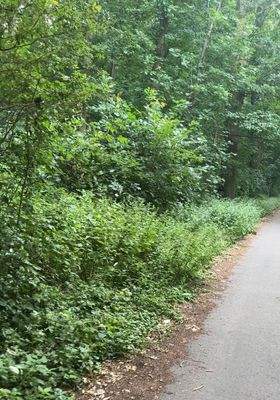 WhatsApp Image 2025-07-18 at 22.45.12