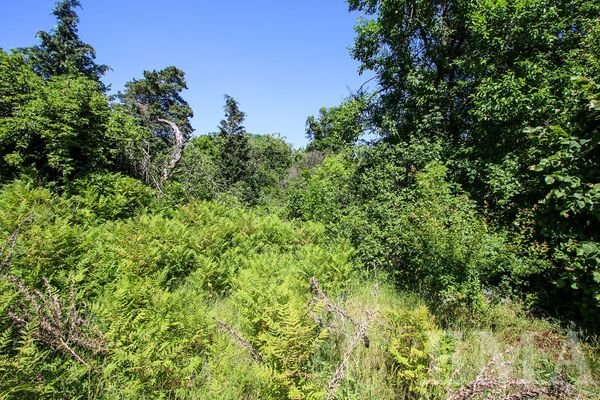 Blick zum Baugrundstück