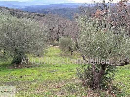 Grundstück Meerblick mit Olivenbäumen