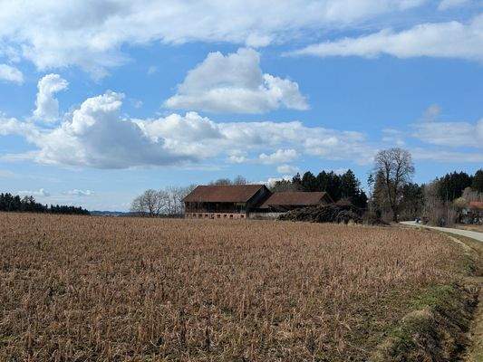 Blick auf das Anwesen