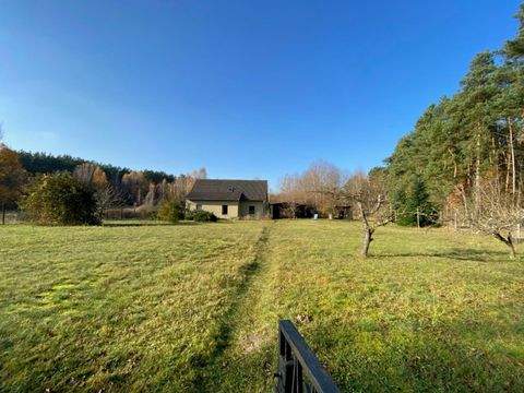 Schorfheide Häuser, Schorfheide Haus kaufen